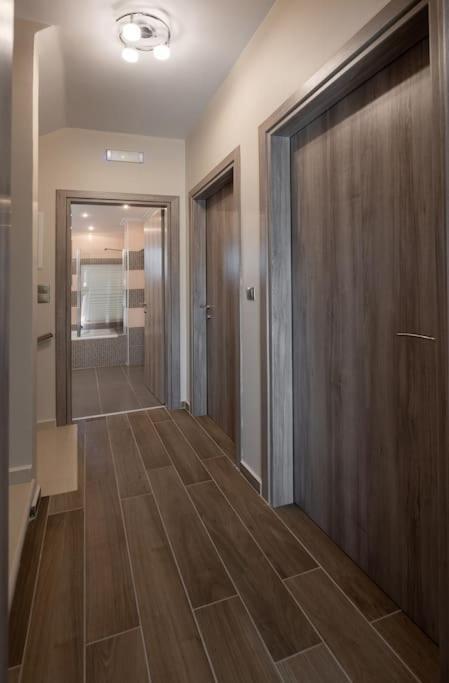 "Aeolos" Luxury Villa Preveze Dış mekan fotoğraf